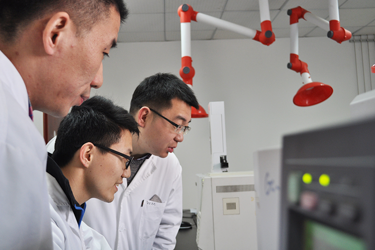 1539255439853300.jpg 大家庭3.jpg